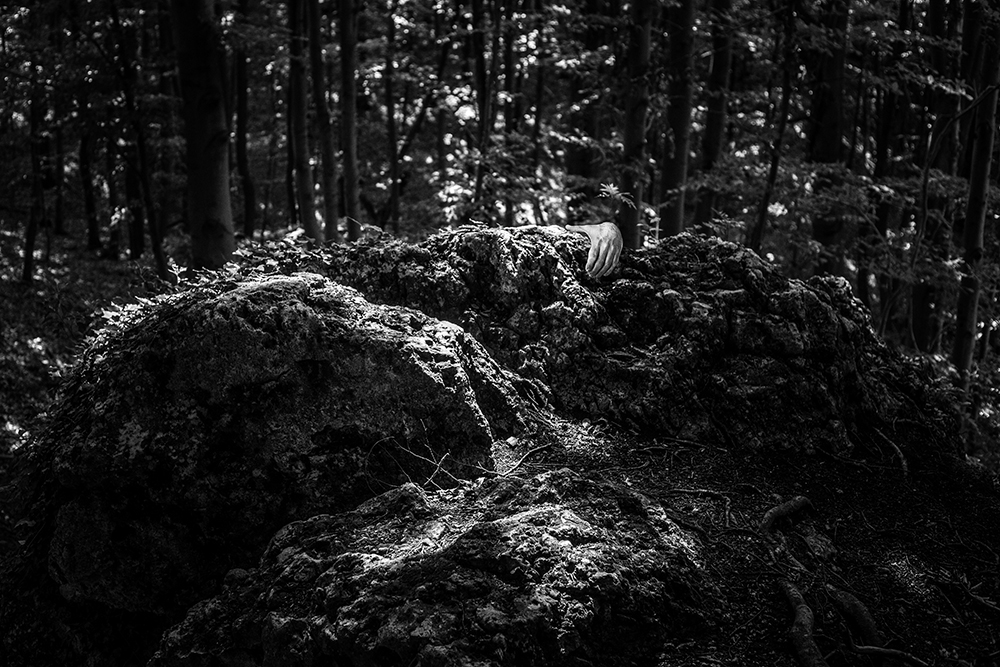 szept duszy zaklętej w skale muzeum śląskie fotoplastykon spotkanie autorskie